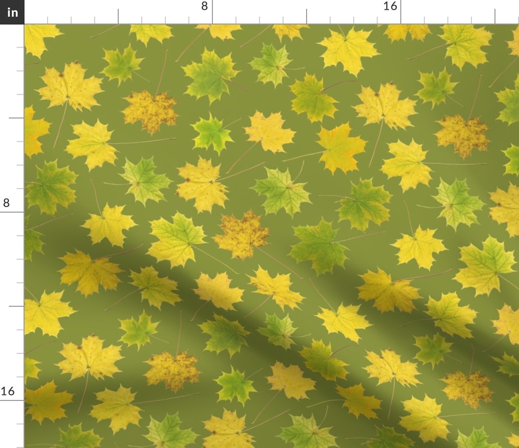 maple leaves on yellow-green