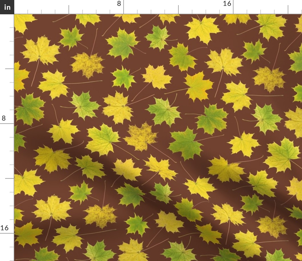 all fall yellow maple leaves on mahogany