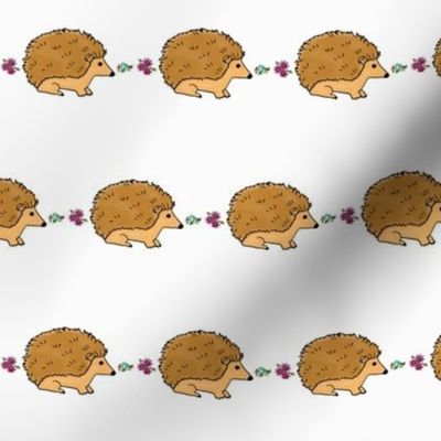 Hedgehogs Marching