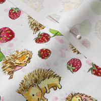 Hedgehogs and Strawberries