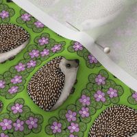 Hedgehogs with Violets