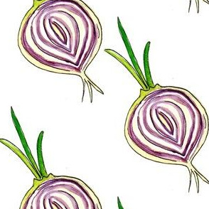 An Onion has many layers