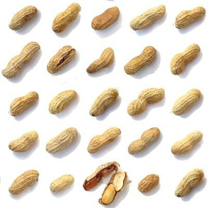peanuts in the shell