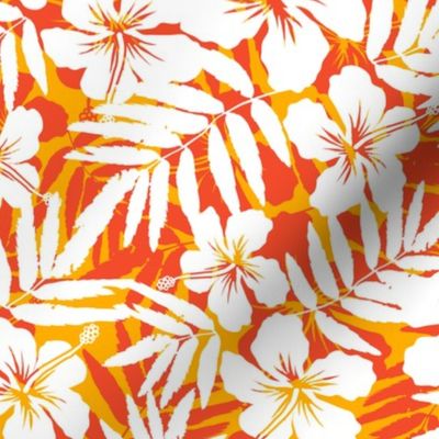 Orange tropic flowers