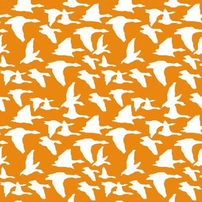 birds in flight orange