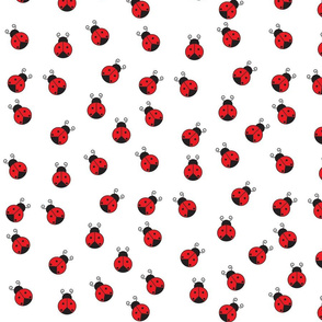 ladybugs