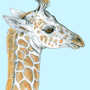 Baby Giraffe test