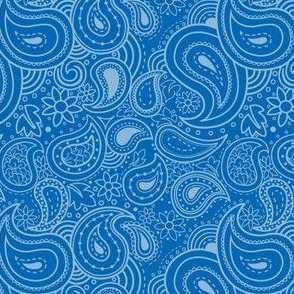 Paisley-blue-dark