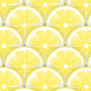 Lemon_slices