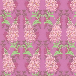 foxglove pink