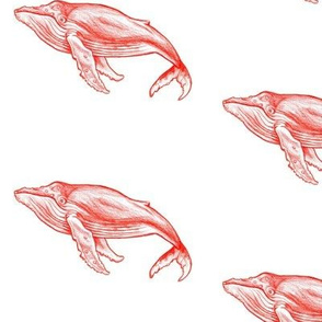 Red Whales