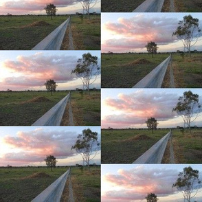 Along the Fenceline to Sunset - Australian Landscape (Ref.0437)
