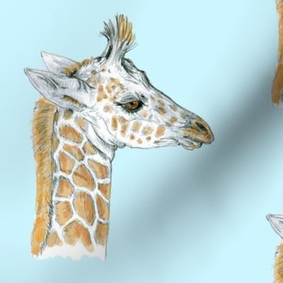 Baby Giraffe for Minky Baby Blankets