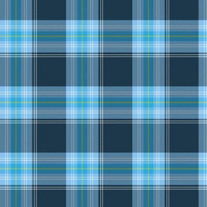 Blue Tartan