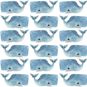 Whale Party! Medium Size