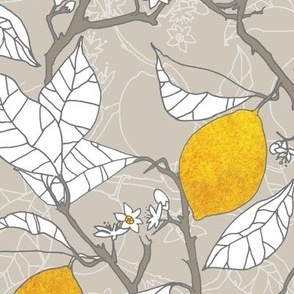 The lemon orchard