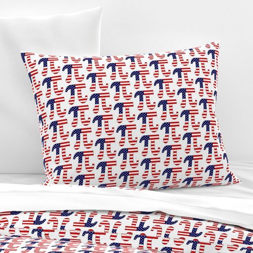 HOME_GOOD_STANDARD_PILLOW_SHAM