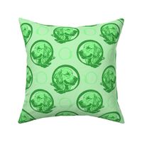 Collared Golden Retriever portraits - green