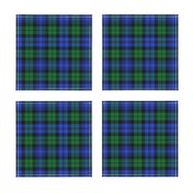 Campbell 1739 tartan, 6" bright