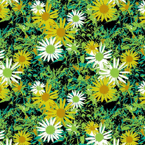 Wild Daisy - Botanical Colours