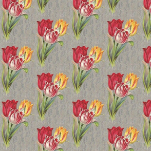 Vintage Tulip Bright Red