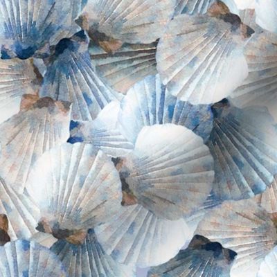 Blue Scallop Shells