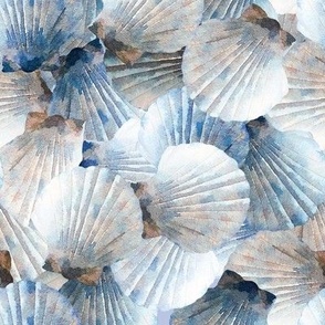 Blue Scallop Shells
