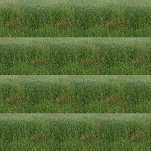 Rippling Fields of Green Pasture - Medium Scale Horizontal Stripes (Ref. 3675)