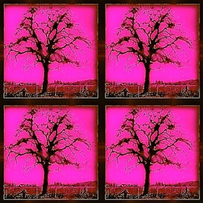 Garry Oak Tree  - bright pink