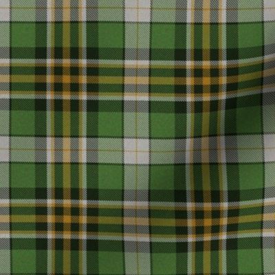 Green Plaid 7