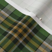 Green Plaid 7