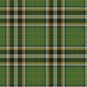 Green Plaid 2