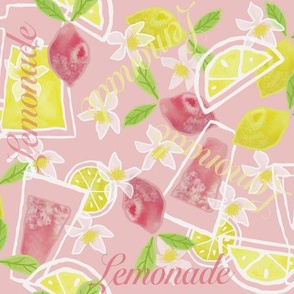Lemonade Fun