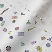 Tiny Diatoms