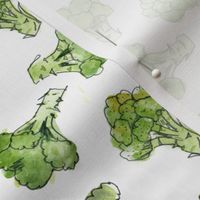 Broccoli - Scatter
