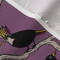 Thorn birds purple black