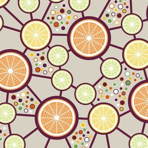 Citrus Mix (Lemon Lime Orange Slices)