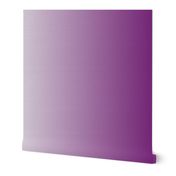 purple_gradient