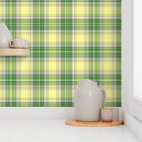 04365112 : tartan : spoonflower0314