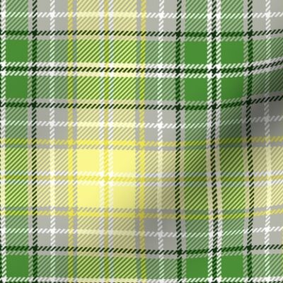 04365112 : tartan : spoonflower0314