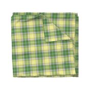 04365112 : tartan : spoonflower0314