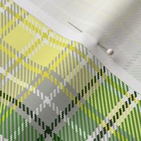 04365112 : tartan : spoonflower0314