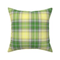 04365112 : tartan : spoonflower0314