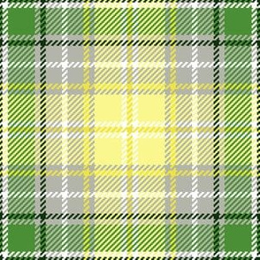 04365112 : tartan : spoonflower0314