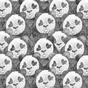 Love Pandas
