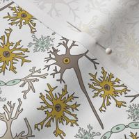 Neurons Customized