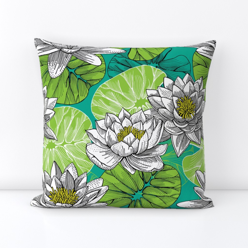 lily pond - botanical