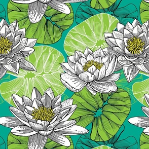 lily pond - botanical