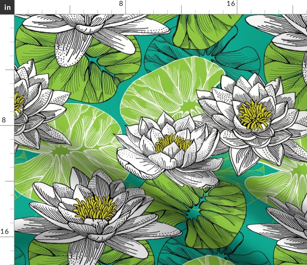 lily pond - botanical