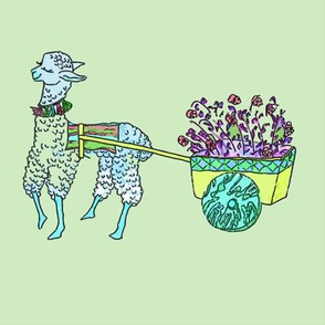 Baby llama blue w green background